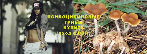 mdpv Ханты-Мансийск